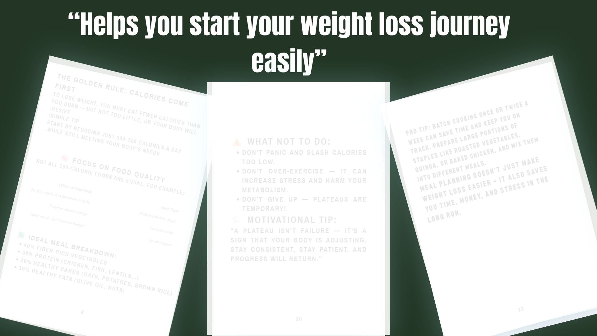 The Body Record – Body Awareness Guide