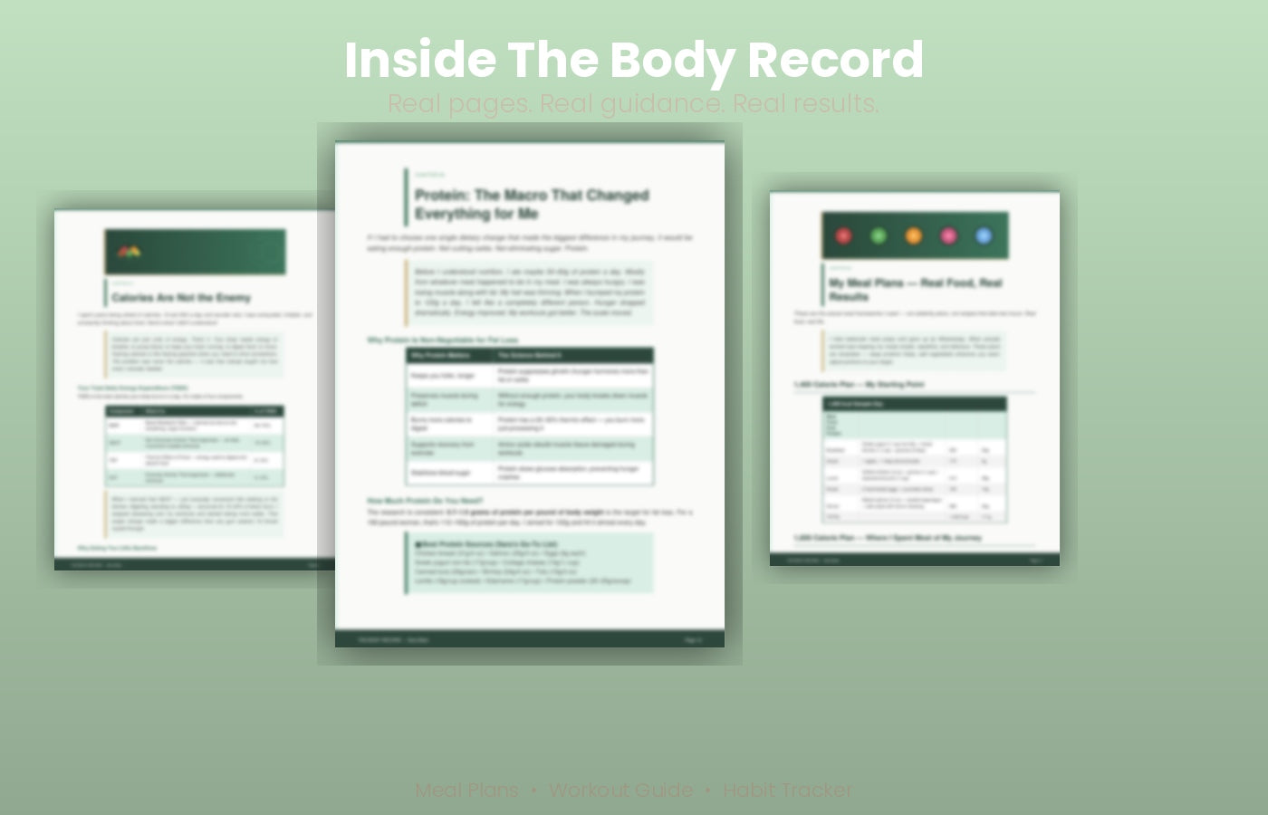 The Body Record — The Complete Weight Loss Blueprint