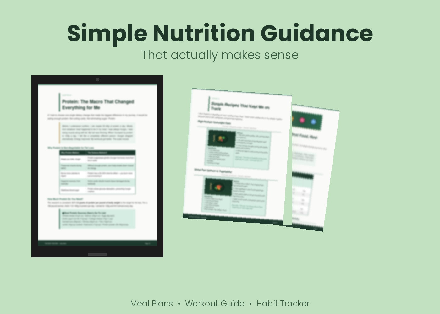 The Body Record — The Complete Weight Loss Blueprint